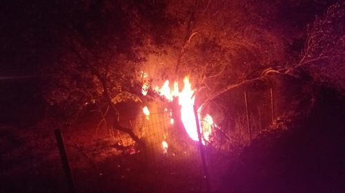 Πυρκαγιά σε ελαιόδεντρα στα Περατάτα Κεφαλονιάς