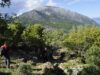 Όρια οικισμών: Έρχεται πλατφόρμα για ενστάσεις – Τι πρέπει να γνωρίζουν οι ιδιοκτήτες ακινήτων στην Κεφαλονιά