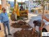 Αργοστόλι: 30 νέες μουριές αλλάζουν την εικόνα της Μομφεράτου – Περισσότερο πράσινο και σκιά στην πόλη (εικόνες)