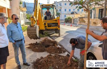 Αργοστόλι: 30 νέες μουριές αλλάζουν την εικόνα της Μομφεράτου – Περισσότερο πράσινο και σκιά στην πόλη (εικόνες)