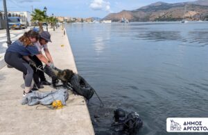 Αργοστόλι: Δύτες καθάρισαν τον βυθό του λιμανιού – Εθελοντές, νέες τεχνολογίες και η μεγάλη επιχείρηση της Aegean Rebreath