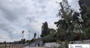 Αργοστόλι: Κλάδεμα υψηλών δέντρων στο Δημοτικό Στάδιο – Παρέμβαση για την ασφάλεια αθλητών και πολιτών (εικόνες+βίντεο)