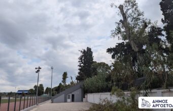 Αργοστόλι: Κλάδεμα υψηλών δέντρων στο Δημοτικό Στάδιο – Παρέμβαση για την ασφάλεια αθλητών και πολιτών (εικόνες+βίντεο)