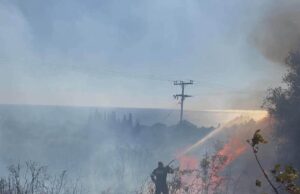 Φωτιά σε Κουρκουμελάτα–Σάρλατα: Στη μάχη 12 εθελοντές της ΕΟΔ Κεφαλονιάς με 4 οχήματα (εικόνες)